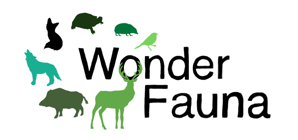 Logo Wonder Fauna