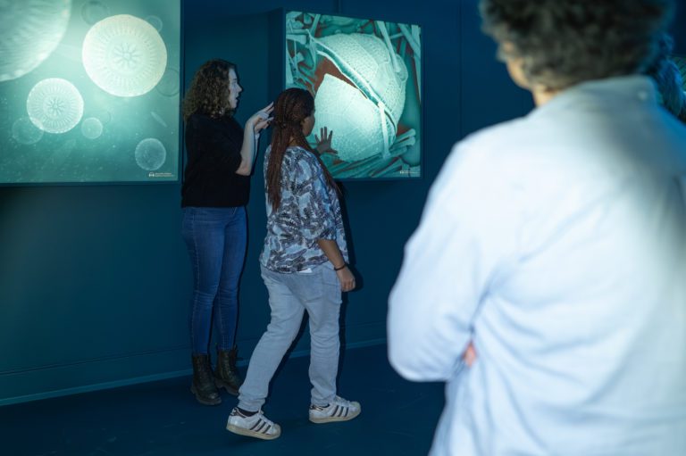 Exposition Placton du Musée du Léman