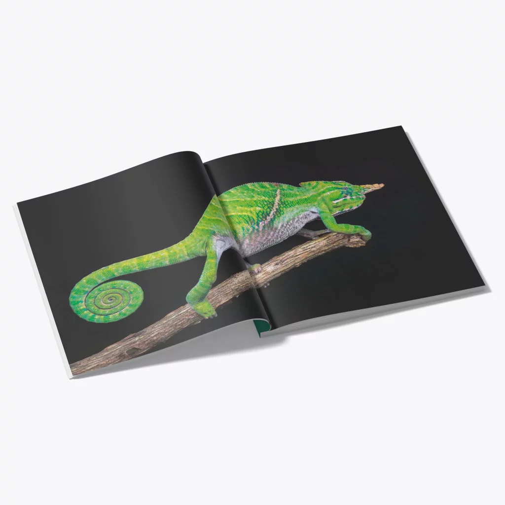 Intérieur du livre / ©Samuel Butzer